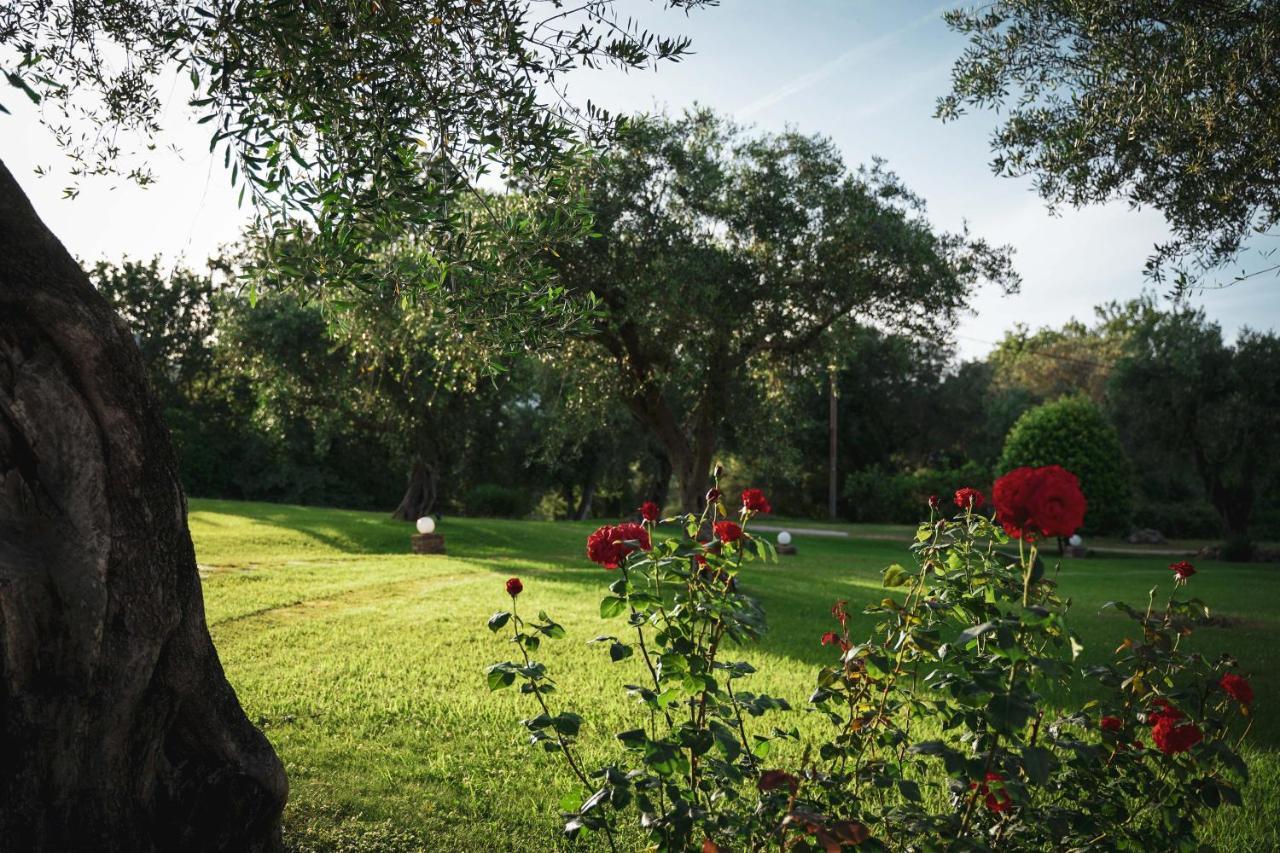 Panorama Hideaway Dassia (Corfu) Exterior foto
